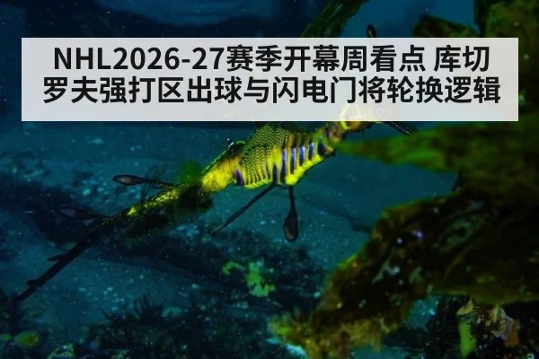 NHL2026-27赛季开幕周看点 库切罗夫强打区出球与闪电门将轮换逻辑